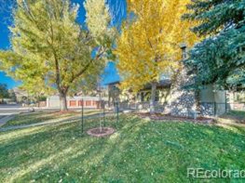 Minutes Form Downtown Salida : Salida : Chaffee County : Colorado