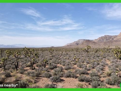 1.25 Acres in Meadview, AZ : Meadview : Mohave County : Arizona