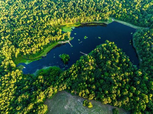 Twin Meadows Ranch : Fort Towson : Choctaw County : Oklahoma