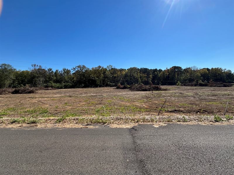 Neshoba 2.5 County Lane : Philadelphia : Neshoba County : Mississippi
