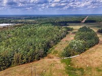 18 Acres of Recreational Land : White Oak : Bladen County : North Carolina