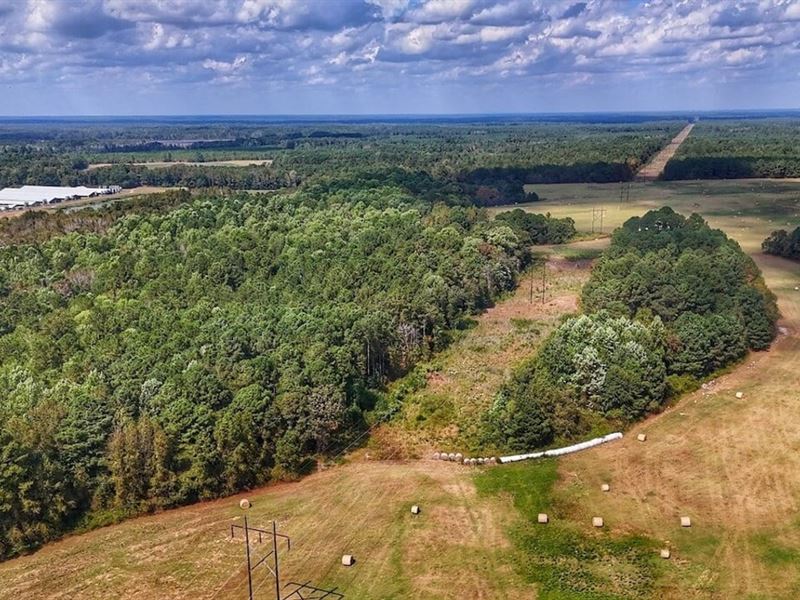 18 Acres of Recreational Land : White Oak : Bladen County : North Carolina