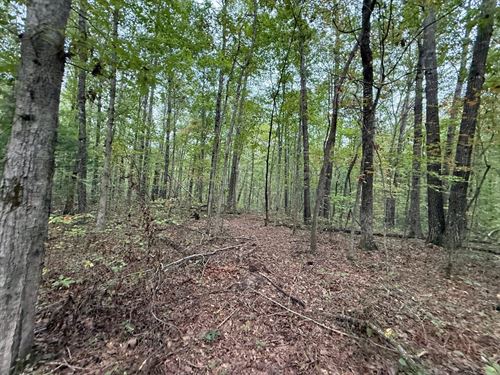5.20 Acres Unrestricted Property : Tracy City : Grundy County : Tennessee