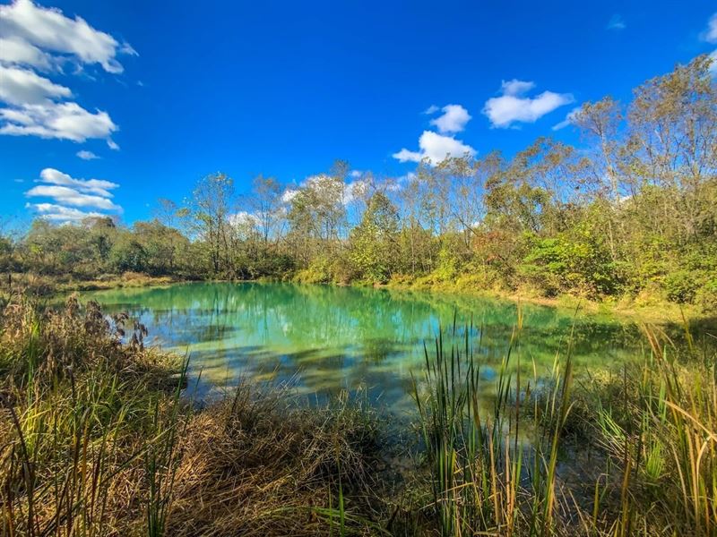 Dutch Ridge Rd Parcel 2, 12 Acres : New Straitsville : Perry County : Ohio