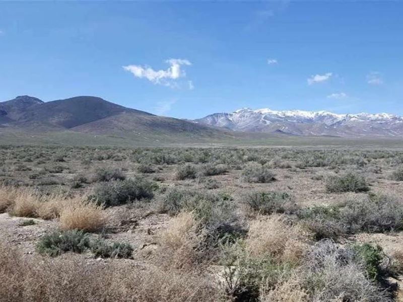 Rare Opportunity Massive 39.93-Acre : Lovelock : Pershing County : Nevada