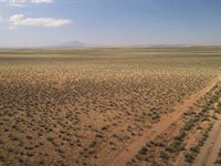 Desert Paradise East of Belen, NM : Belen : Valencia County : New Mexico