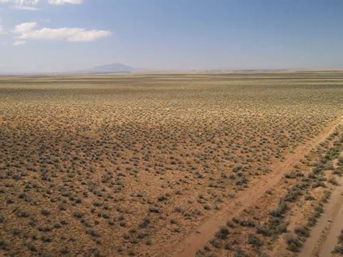 Desert Paradise East of Belen, NM : Belen : Valencia County : New Mexico