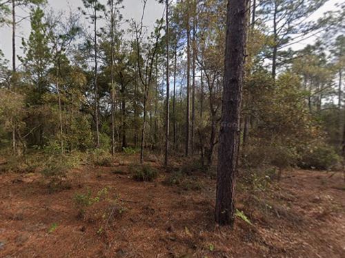 Affordable Florida Living : Interlachen : Putnam County : Florida