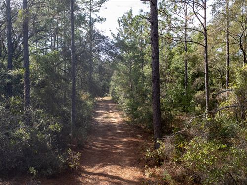 Affordable Florida Living : Interlachen : Putnam County : Florida