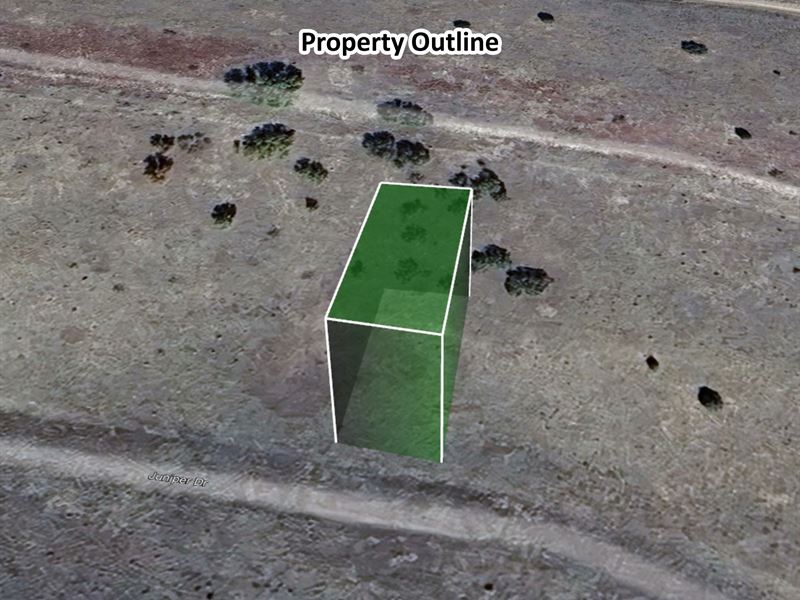 .25 Acre Land in Colorado for Sale : Rye : Pueblo County : Colorado