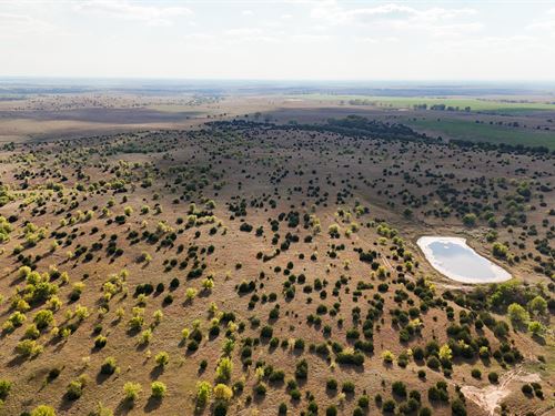 Miltonvale Pasture Auction : Miltonvale : Cloud County : Kansas