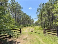 1090 Acres, Chita Cemetery Road : Trinity : Texas