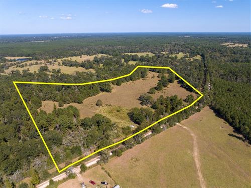 31 Acres, County Road 3575 : Lovelady : Houston County : Texas