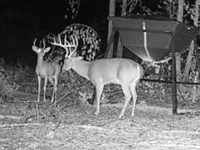 92 Acres Lonoke County Hunting : Lonoke : Arkansas