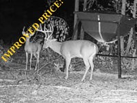 92 Acres Lonoke County Hunting : Lonoke : Arkansas