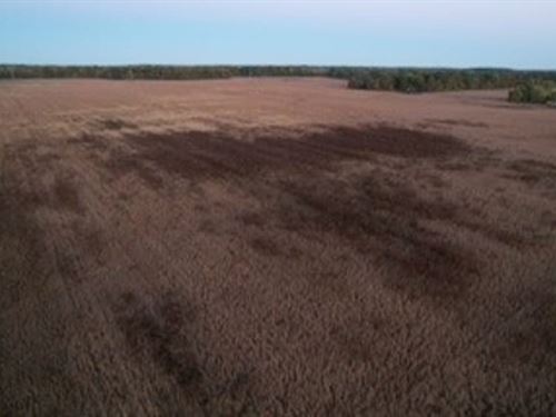 Lot For Sale Owen County : Spencer : Owen County : Indiana