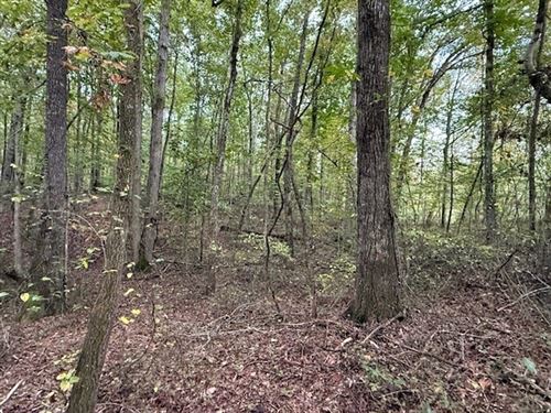 5.10 Acres Unrestricted Property : Tracy City : Grundy County : Tennessee