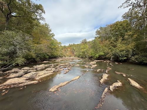 Socapatoy Creek Tract 20 Acres : Kellyton : Coosa County : Alabama