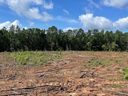 Allen Rd, 8 Point Rd 10 Ac Taylor : Butler : Taylor County : Georgia
