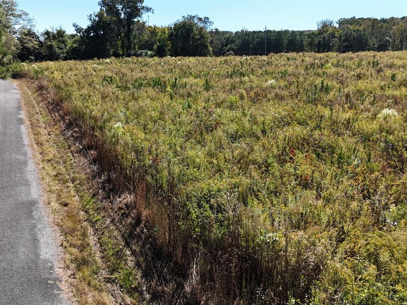 Quiet Country Living, 4Ac : Collinsville : Cherokee County : Alabama