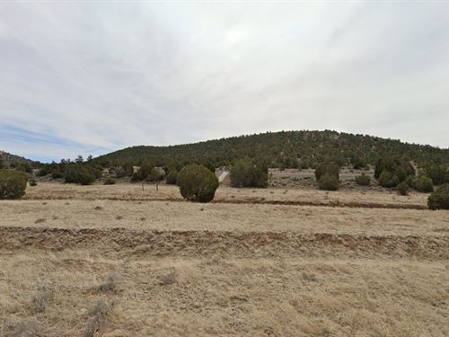 Lower Taxes, Clear Skies : Seligman : Yavapai County : Arizona