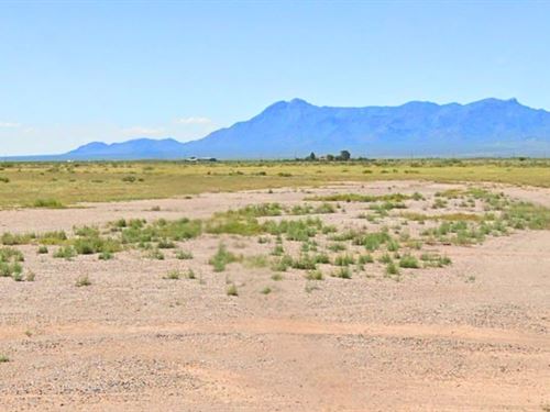 Serene Level Lot with Power Nearby : Deming : Luna County : New Mexico