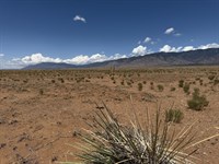 Land for Sale in Valencia County,Nm : Belen : Valencia County : New Mexico