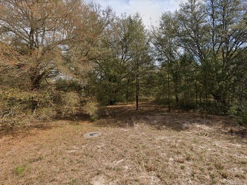 Your Slice of Sunshine at $199 Down : Interlachen : Putnam County : Florida