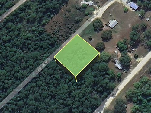 Grab Satsuma Gem Just $199 Down : Satsuma : Putnam County : Florida