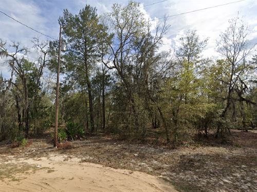 Build Your Home $49 Down Sale : Interlachen : Putnam County : Florida