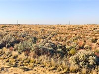 Affordable, Level, & Corner Lot : Belen : Valencia County : New Mexico