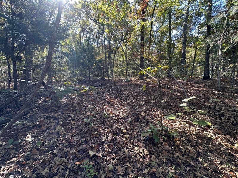 Lot on Parkway Ln, Horseshoe Bend : Horseshoe Bend : Izard County : Arkansas