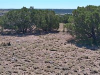 Corner Double-Lot Property, Power : Concho : Apache County : Arizona