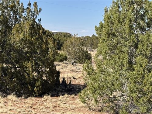 Corner Lot Across From Post Office : Concho : Apache County : Arizona