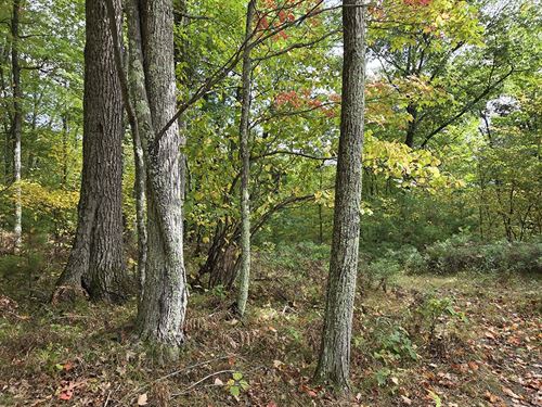 3 Acre Northwoods Retreat : Pembine : Marinette County : Wisconsin