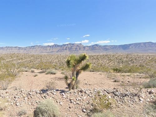 Escape to 1.25 Acres in Mohave, AZ : Meadview : Mohave County : Arizona