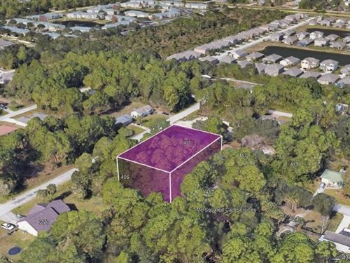Cash Deal for Great 0.24 Acre : Palm Bay : Brevard County : Florida