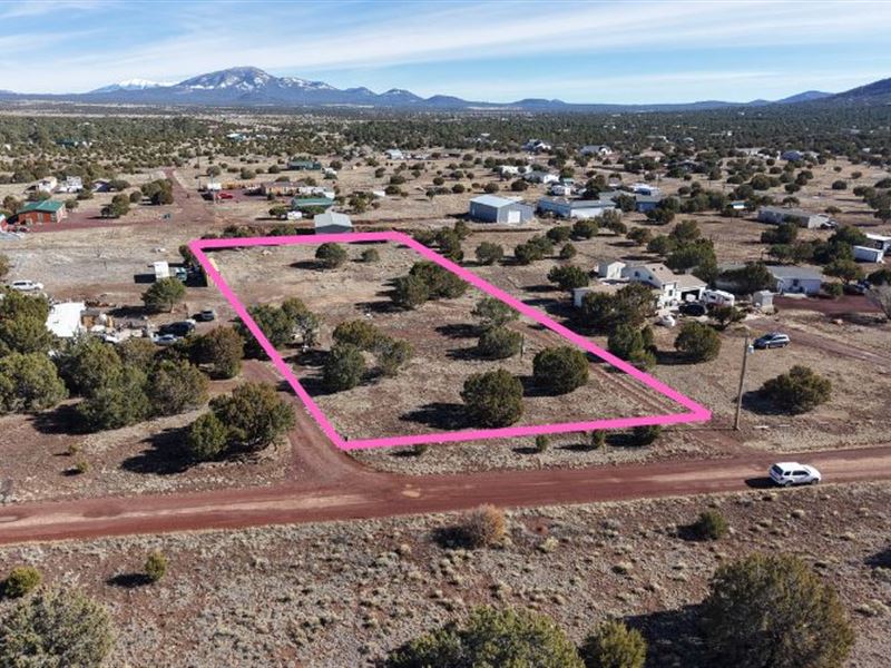 Cash Deal for Great 1.06 Acre : Williams : Coconino County : Arizona