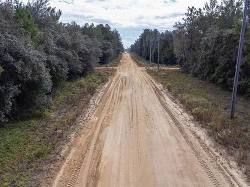 Affordable Florida Living Awaits : Interlachen : Putnam County : Florida