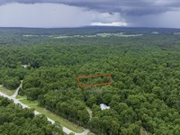 3 Min Drive to Diamond Lake Ramp : Horseshoe Bend : Izard County : Arkansas