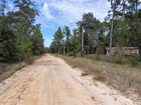 Affordable Land Ownership in FL : Interlachen : Putnam County : Florida