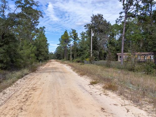 Affordable Land Ownership in FL : Interlachen : Putnam County : Florida