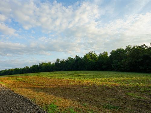 Twp Rd 51 Lot 2 19.02 : Somerset : Perry County : Ohio