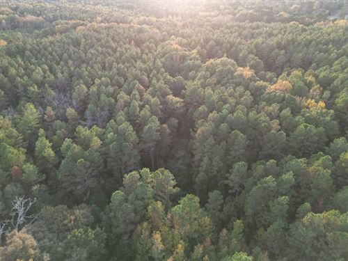 Hwy17 Pickens Madisonco : Pickens : Madison County : Mississippi