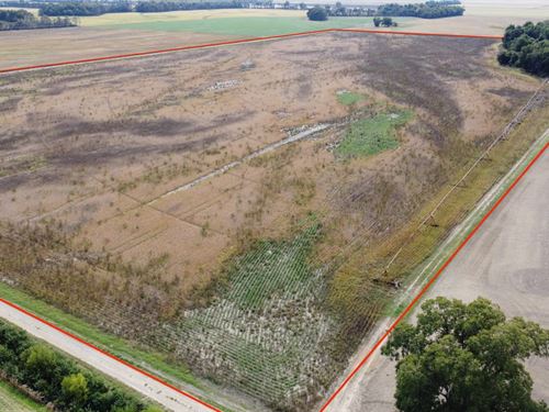 Premium 80 Ac Irrigated Farm tr : East Prairie : Mississippi County : Missouri