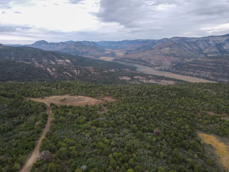 Secluded Colorado Hunting Retreat : Grand Junction : Mesa County : Colorado