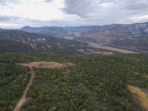 Secluded Colorado Hunting Retreat : Grand Junction : Mesa County : Colorado