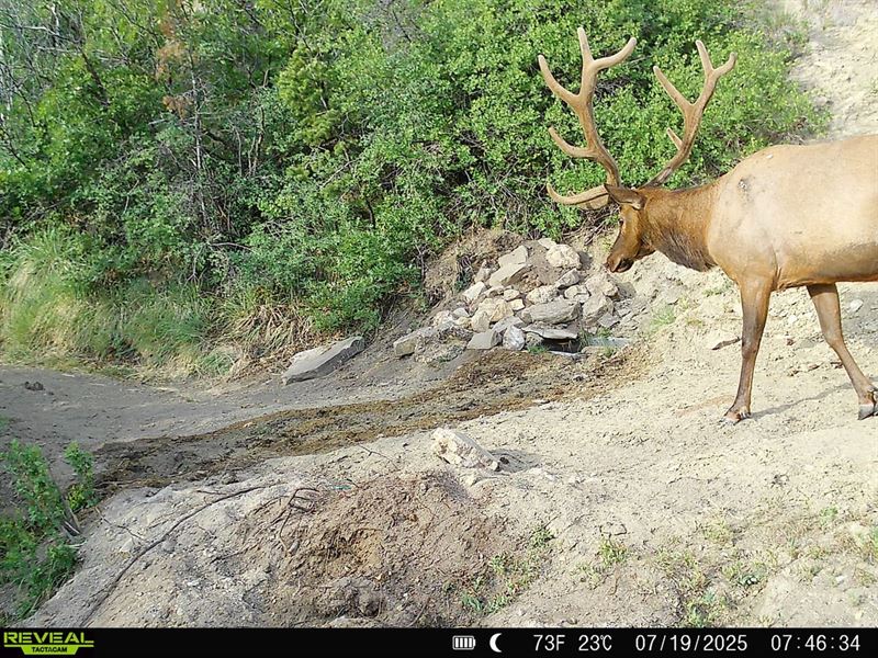 Secluded Colorado Hunting Retreat : Grand Junction : Mesa County : Colorado
