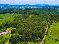 1.895 Ac Ashe NC Off-Grid : Grassy Creek : Ashe County : North Carolina