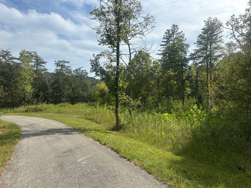 20 +/- Acres with Neglected Cabin : Albany : Clinton County : Kentucky